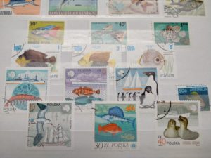 Internationale Briefmarken-Börse Ulm @ Ulm-Messe